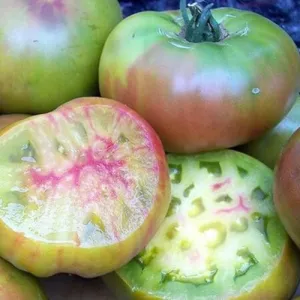 Ananas Noir Tomato Seeds