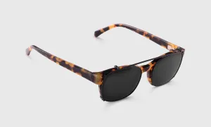 Biff Sunglass Clip On
