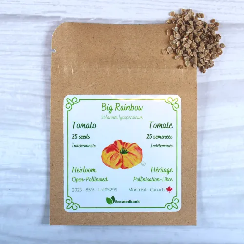 Big Rainbow Tomato Seeds