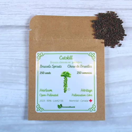 Catskill Brussels Sprouts Seeds