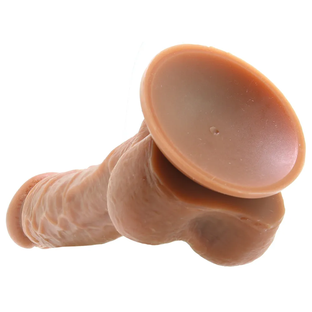 Colours - Dual Density - 8in Dildo - Brown