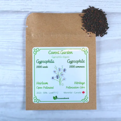 Covent Garden Gypsophila Seeds