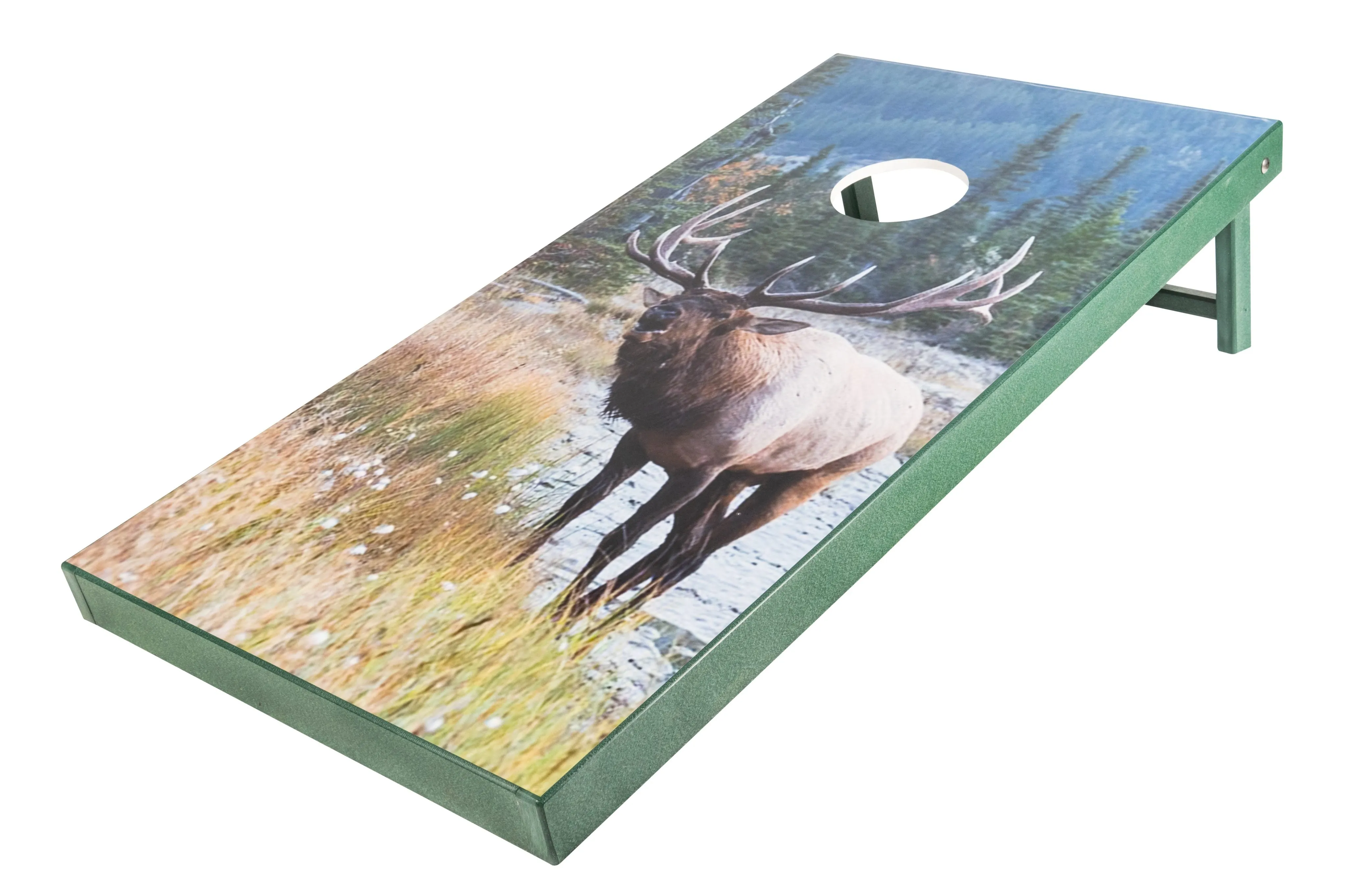 Decorative Poly Corn Hole Game