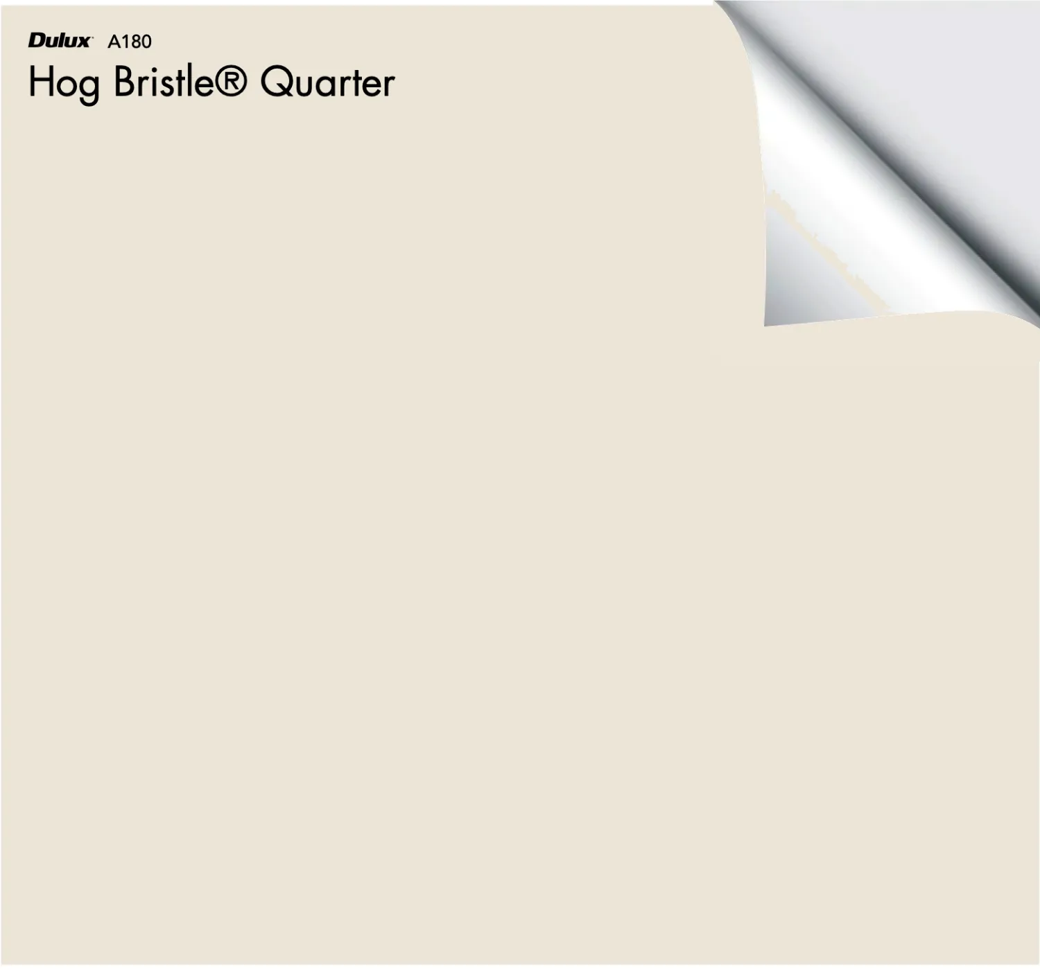 Dulux Hog Bristle® Quarter