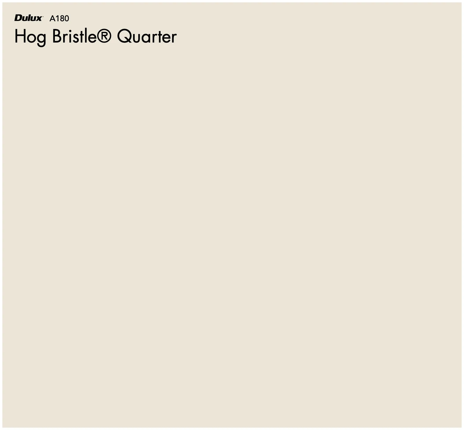 Dulux Hog Bristle® Quarter