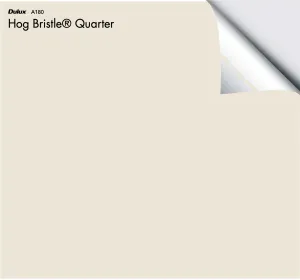 Dulux Hog Bristle® Quarter
