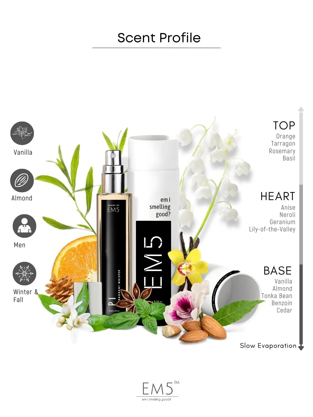 EM5™ Pi π Perfume for Men | Eau de Parfum Spray | Sweet Aromatic Warm Spicy Fragrance Accords | Luxury Gift for Him | Sizes Available: 50 ml / 15 ml