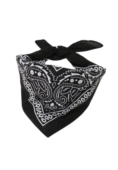 Europe Bound Bandanas 5 pack