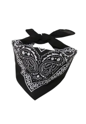 Europe Bound Bandanas 5 pack