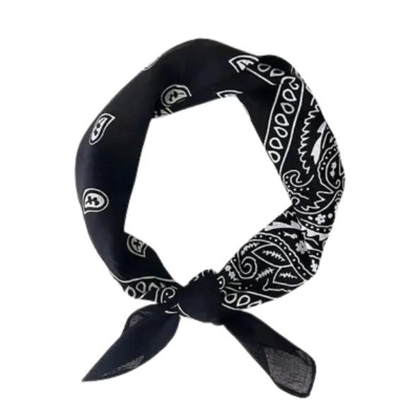 Europe Bound Bandanas 5 pack