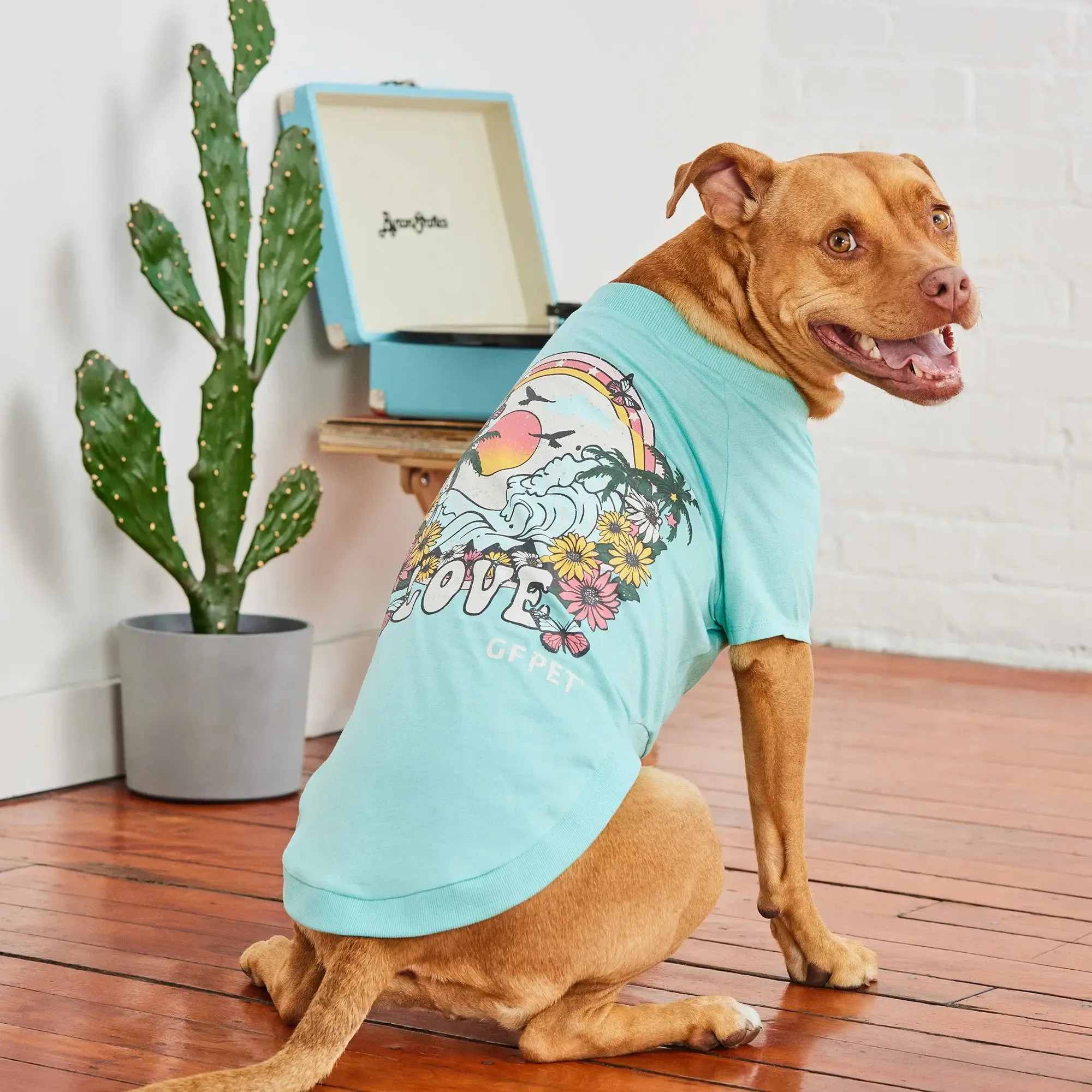 Graphic Tee Dog T-Shirt | Heather Aqua
