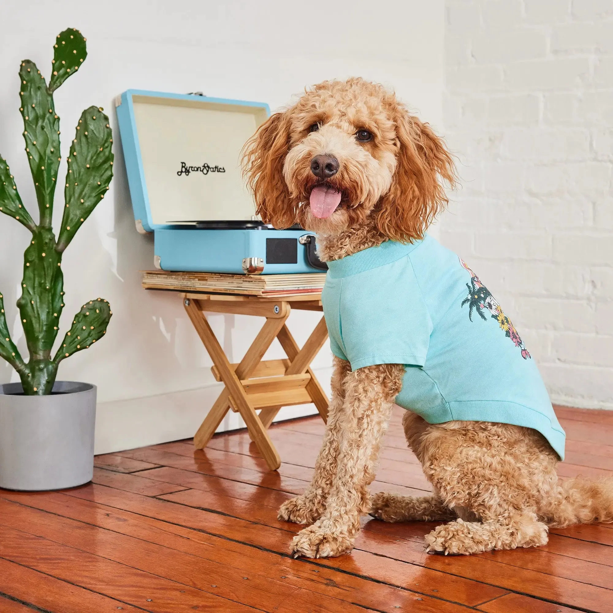 Graphic Tee Dog T-Shirt | Heather Aqua