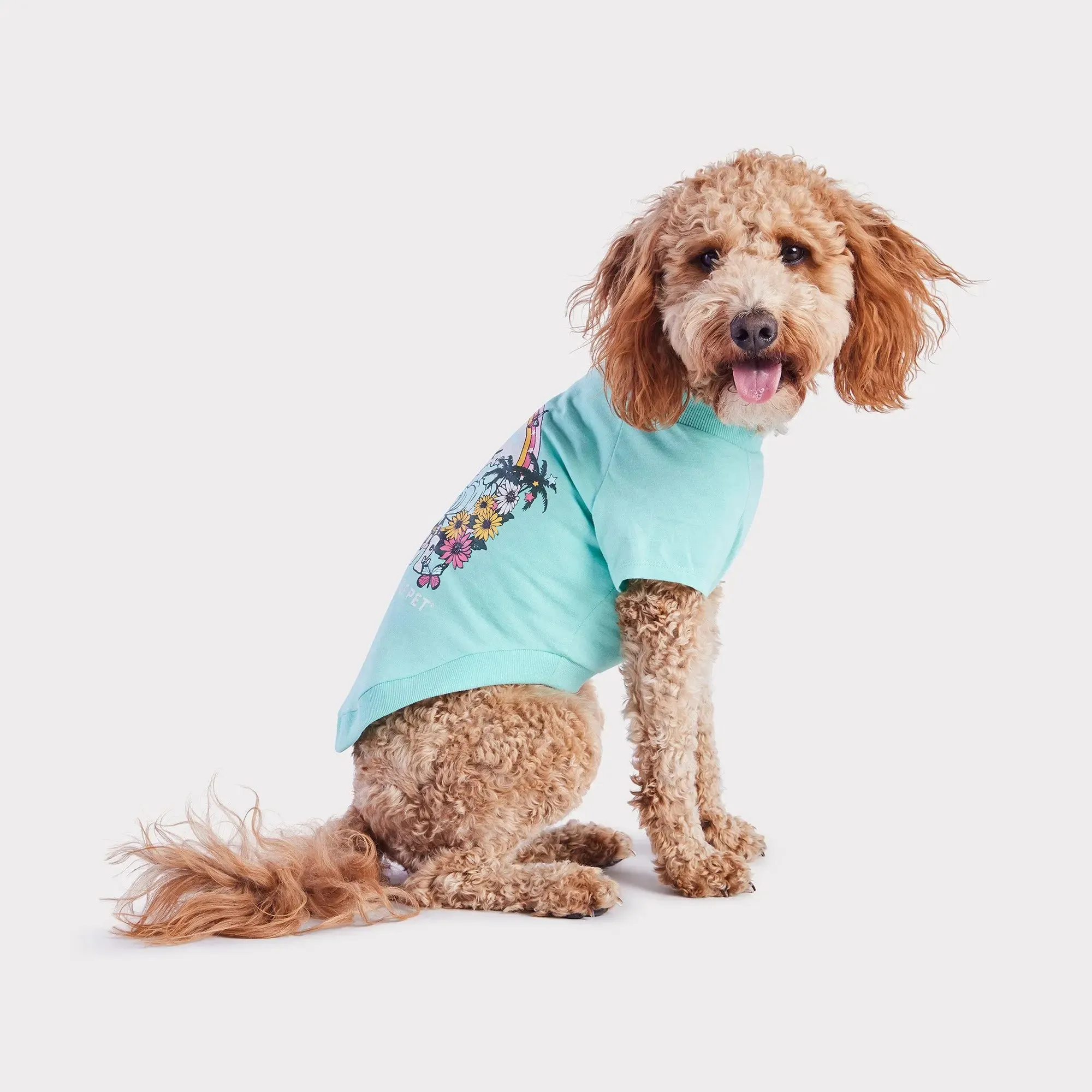 Graphic Tee Dog T-Shirt | Heather Aqua
