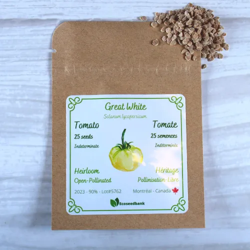Great White Tomato Seeds