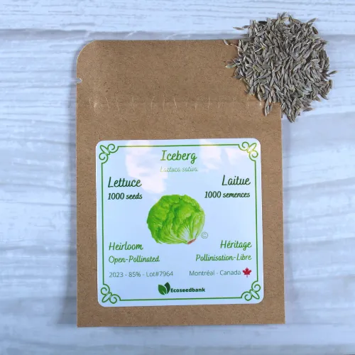 Iceberg Lettuce Seeds