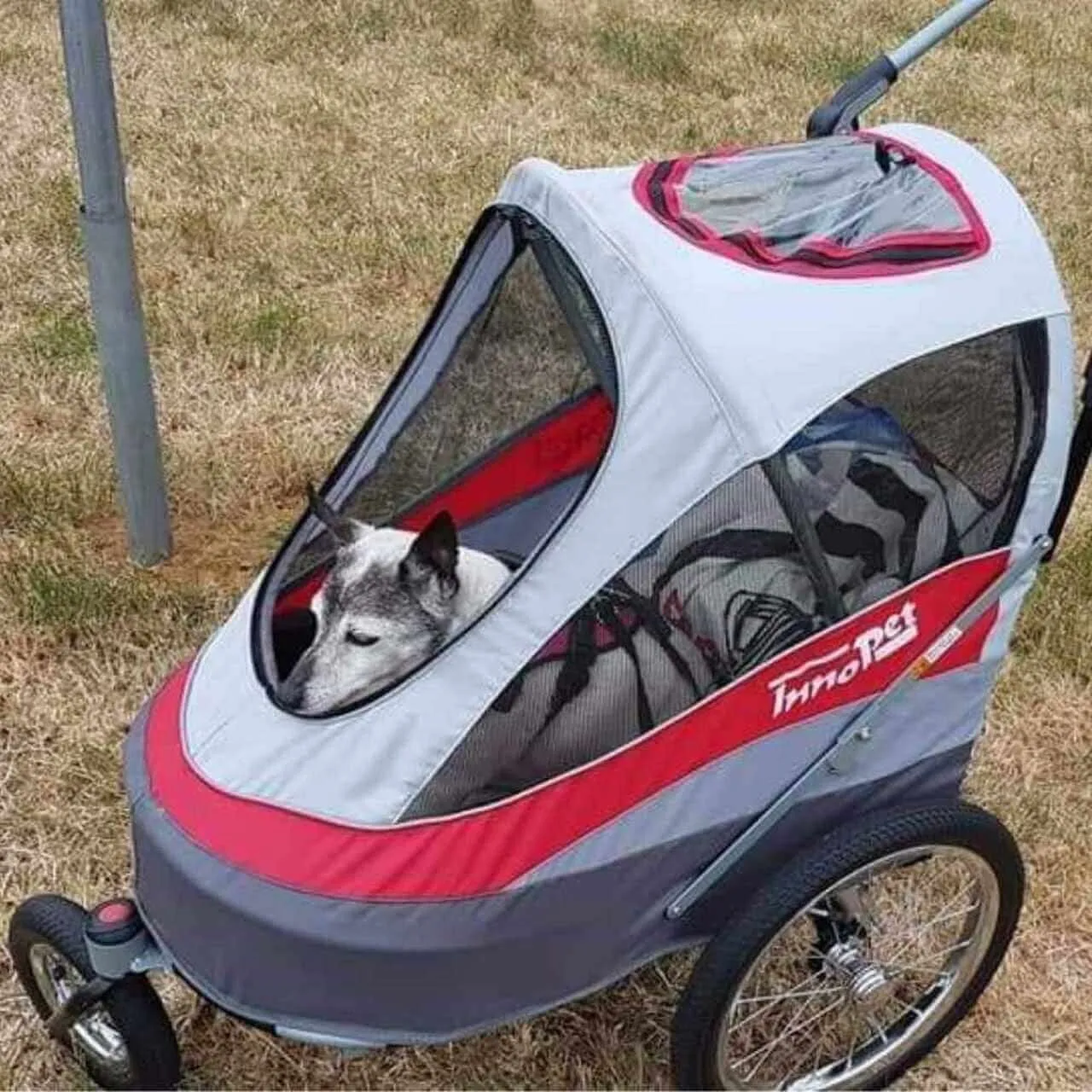 InnoPet Sporty Deluxe Reflector Set
