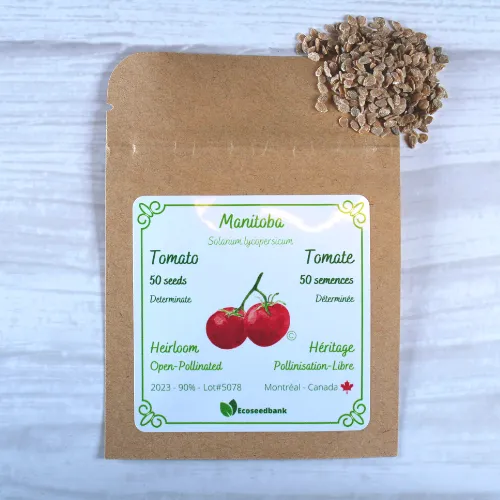 Manitoba Tomato Seeds