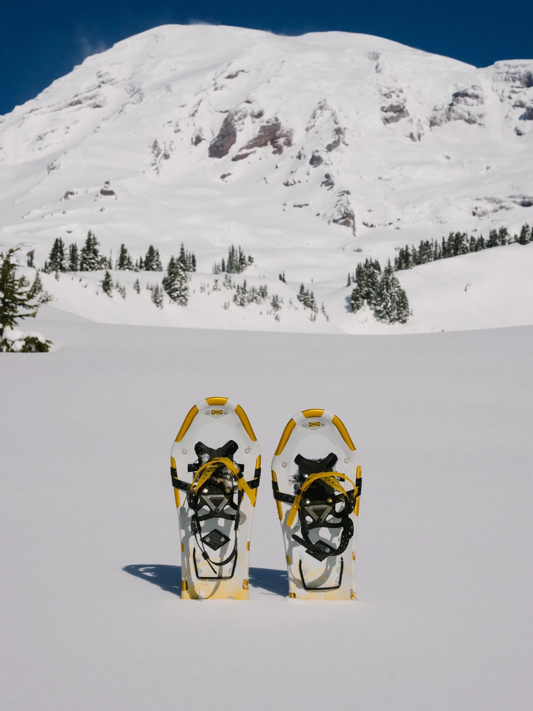 Montane Snowshoe (Men's)