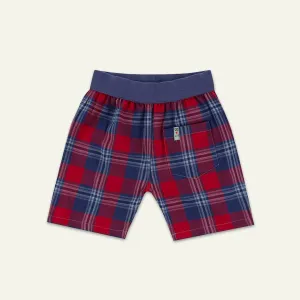 Multicoloured Check Print Shorts