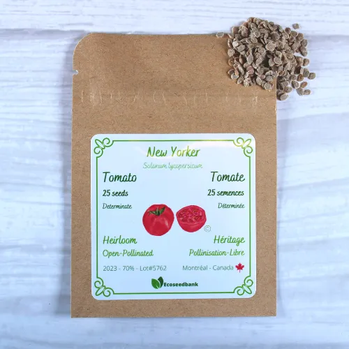 New Yorker Tomato Seeds