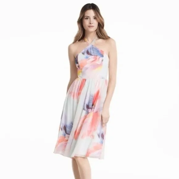 NWT White House Black Market Chiffon dress Halter knee Watercolors Sz 0 $160