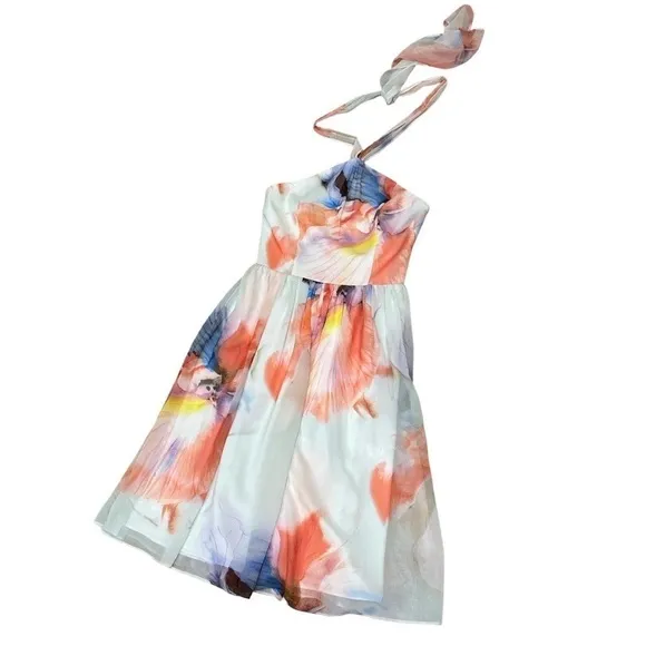 NWT White House Black Market Chiffon dress Halter knee Watercolors Sz 0 $160