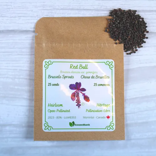 Red Bull Brussels Sprouts Seeds