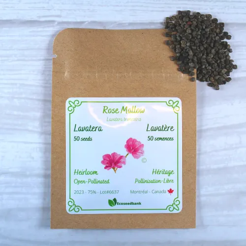 Rose Mallow Lavatera Seeds