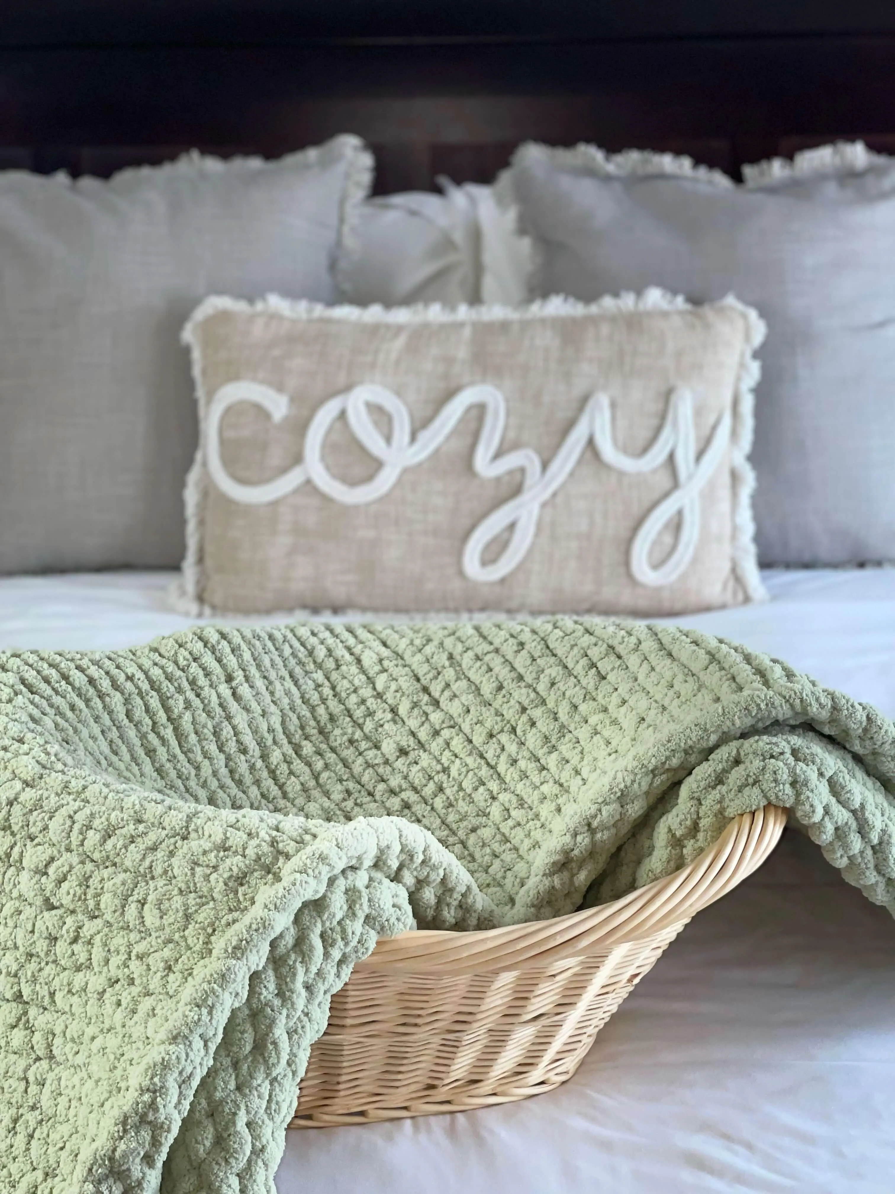 Sage Cozy Throw